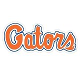Florida Gators Script Car Magnet