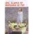 Girl Slaves Of Morgana Le Fay [1971] [DVD]