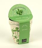 Good Luck Garden Grow Me Kit - White Clover