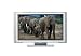 Sony KDE-42XS955 42-Inch Widescreen WEGA Plasma Flat-Panel TV with Integrated HDTV Tuner