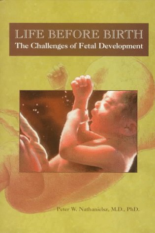 Infant-and-Toddler-Development