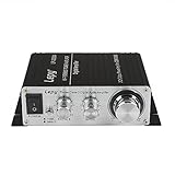 Lepy LP-2020A Hi-Fi Stereo Power Amplifier