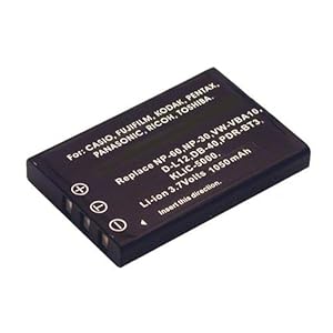 Battery-biz Inc. 3.7 Volt Li-ion Digital Camera Battery