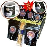 Birds - Crowned Crane - Coffee Gift Baskets - Coffee Gift Basket