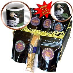 Birds - Crowned Crane - Coffee Gift Baskets - Coffee Gift Basket by Decaf Espresso Roast