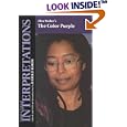 Alice Walker's the Color Purple (Bloom's Modern Critical Interpretations)