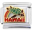 All About Hawaii Italian Charm
