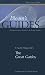 F. Scott Fitzgerald's The Great Gatsby (Bloom's Guides)