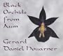 Black Orchids from Aum
