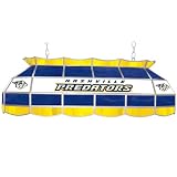 NHL Nashville Predators Stained Glass 40 inch Lighting Fixtu