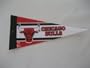 Chicago Bulls Basketball NBA Official Licensed Mini Collectible Pennant