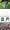 New 2010 Greenhouse 12' X 7' X 7' Large Green House Garden Outdoor