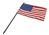 U.S. 49 Stars flag 4 x 6 inch