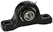 Link-Belt PU319 Ball Bearing Pillow Block, 2 Bolt Holes, Heavy-Duty, Relubricatable, Non-Expansion, Cast Iron, Setscrew Locking Collar, Inch, 1-3/16" Bore Diameter