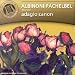 Albinoni : Adagio - Pachelbel : Canon