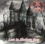 Lost in Shadows Grey