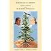 Exemplar of Liberty: Native America and the Evolution of Democracy (Native American Politics Series ; No. 3)