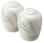 Pfaltzgraff Winter Frost Salt and Pepper Set