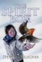 The Spirit Box