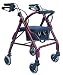 4 Wheel Loop Lock Rolling Walker