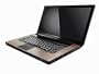 Lenovo IdeaPad Y530-7343UW 15.4-Inch WiMax Laptop (Intel Core 2 Duo P7450 Processor, 4 GB RAM, 320 GB Hard Drive, Vista Premium)