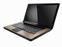 Lenovo IdeaPad Y530-7343UW 15.4-Inch WiMax Laptop (Intel Core 2 Duo P7450 Processor, 4 GB RAM, 320 GB Hard Drive, Vista Premium)