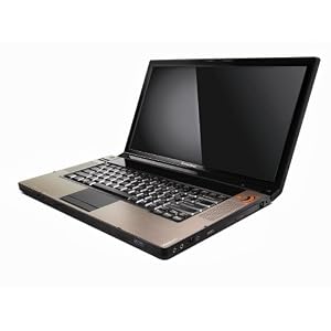 Lenovo IdeaPad Y530-7343UW 15.4-Inch WiMax Laptop (Intel Core 2 Duo P7450 Processor, 4 GB RAM, 320 GB Hard Drive, Vista Premium)