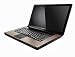 Lenovo IdeaPad Y530-7343UW 15.4-Inch WiMax Laptop (Intel Core 2 Duo P7450 Processor, 4 GB RAM, 320 GB Hard Drive, Vista Premium)
