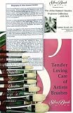 John Howard Sanden Beginner Set of 9 Silver Brushes