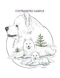 Samoyed - Trio Image by Cindy Farmer