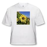 Kike Calvo Spain - Cape Finisterre Galicias version of Englands Lands ends at Spain and Atlantic Ocean begins - T-Shirts