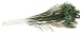 Peacock Eye Feathers - 12PK/Natural