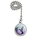 GRAPHICS & MORE Hummingbird Crowned Woodnymph Purple Violet Ceiling Fan and Light Pull Chain
