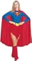 Supergirl Adult Costume
