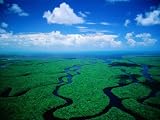 Aerial View of Wetlands, Everglades National Park, USA Lonely Planet Collection Photographic Poster Print by Jim Wark, 12x9