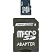 Dane-Elec 16 GB Class 2 microSDHC Flash Memory Card with SD Adapter DA-2IN1-16G-R