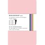 (Set of 2) Moleskine Volant Notebook Large Ruled Pink