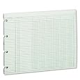 Wilson Jones Green Columnar Ruled Ledger Paper, 6 Columns and 30 Lines per Page, 9.25 x 11.88 Inches, 100 Sheets per Pack, (WG10-6A)