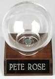 Single Baseball Display Case- With Pete Rose Nameplate