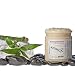 Boston Tea Party Hydrating Body Scrub