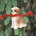 Christmas Ornament - Shih Tzu Tan Puppycut