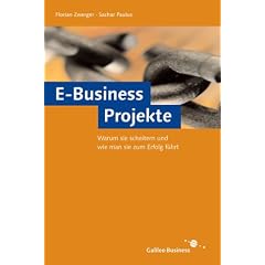 E-Business-Projekte - Warum sie scheitern und wie man sie zum Erfolg f�hrt