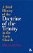 Book A Brief History of the Doctrine of the Trinity in the Early Church (T&T Clark)