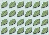 Leaf Leaves Cake Decorations (19087) - Leaf Shaped Edible Hard Sugar Decorations (24 pcs)