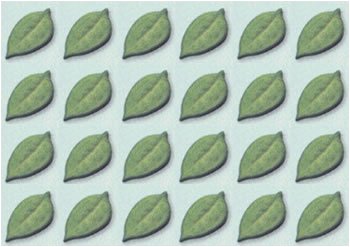 Leaf Leaves Cake Decorations - Leaf Shaped Edible Hard Sugar Decorations (24 pcs) by Lucks