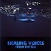 HEALING VOICES