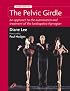 The Pelvic Girdle