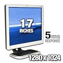 HP L1710 17-inch LCD Monitor