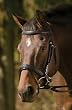 Henri de Rivel Raised/Padded Dressage Bridle w/Jawband Crank & Flash w/Web Reins