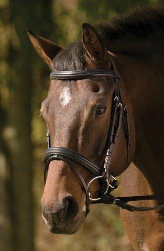 Henri de Rivel Raised/Padded Dressage Bridle w/Jawband Crank & Flash w/Web Reins
